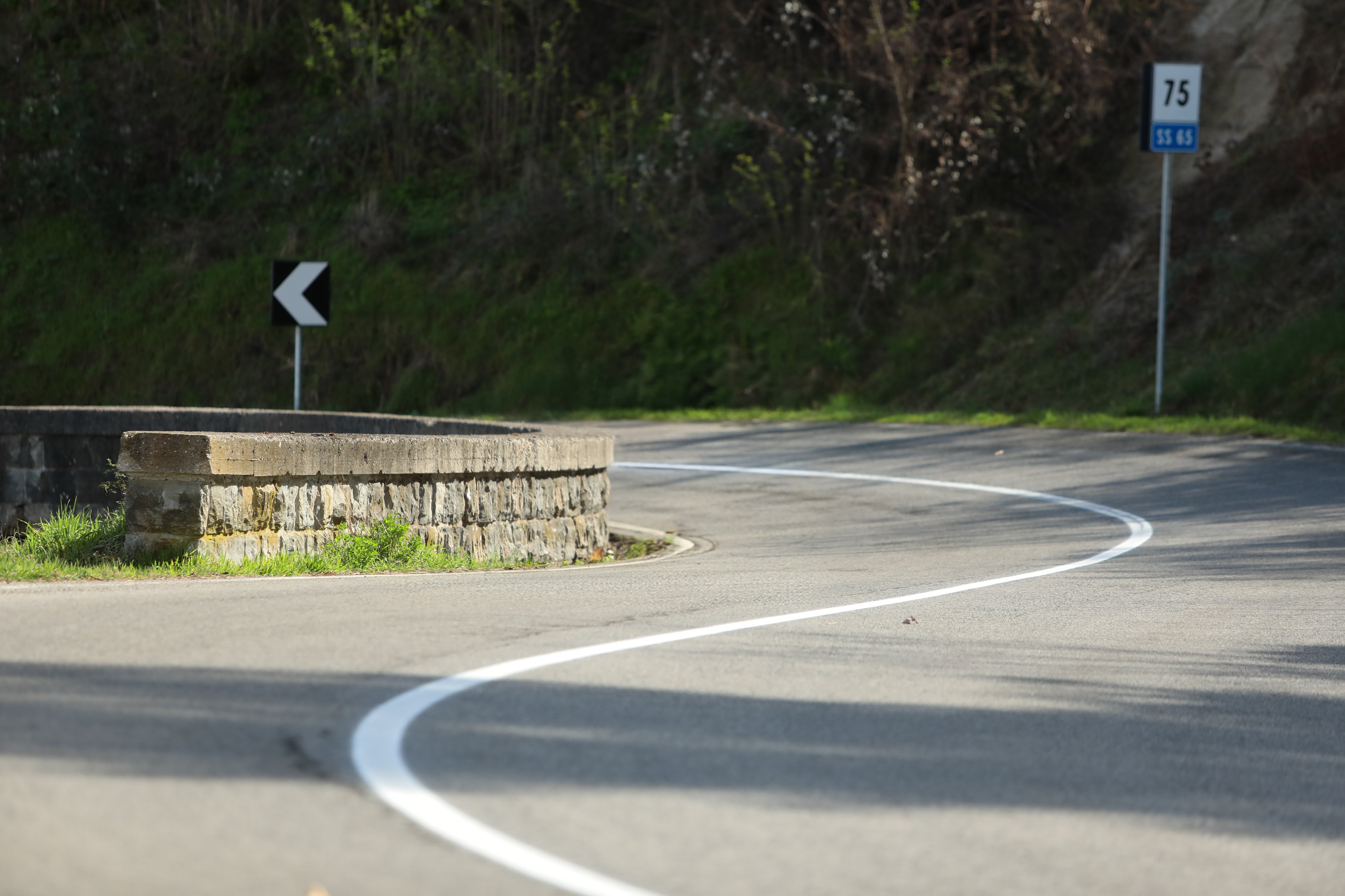 Strada della Futa